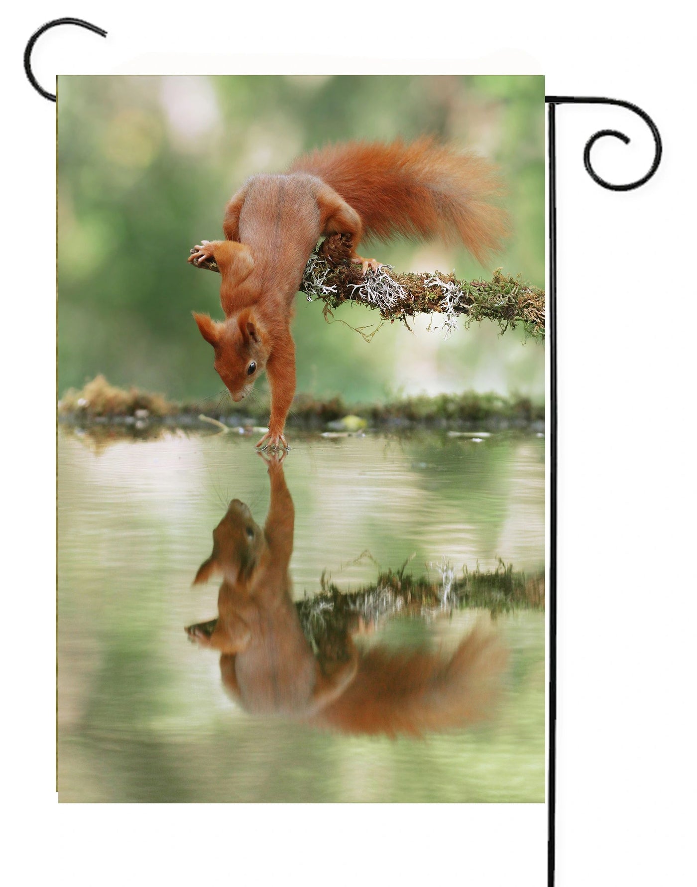 Squirrel Reflection Garden Flag #G2385