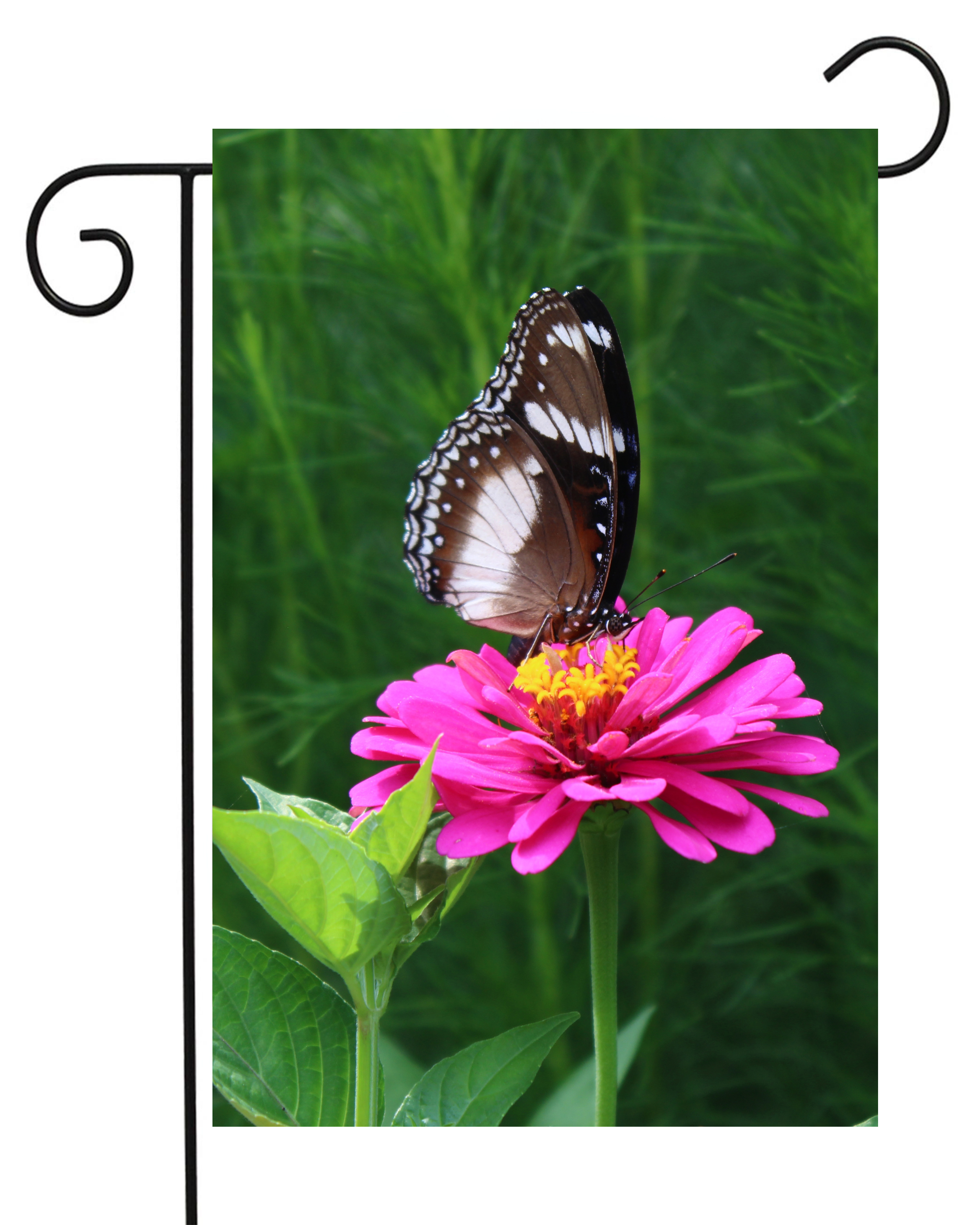 Butterfly Photo on Flower Garden Flag #G2166