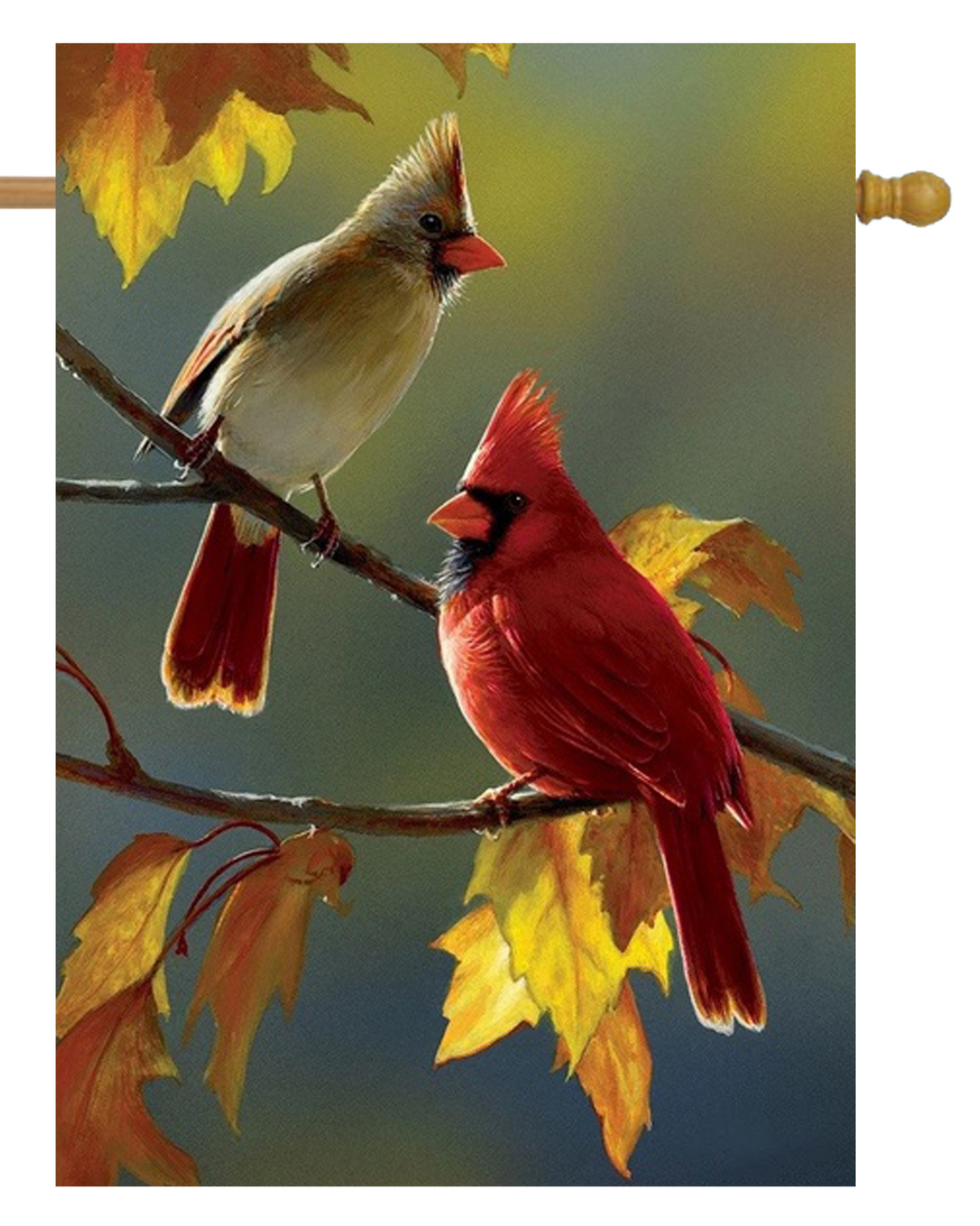 Male Female Cardinals House Flag #H2382