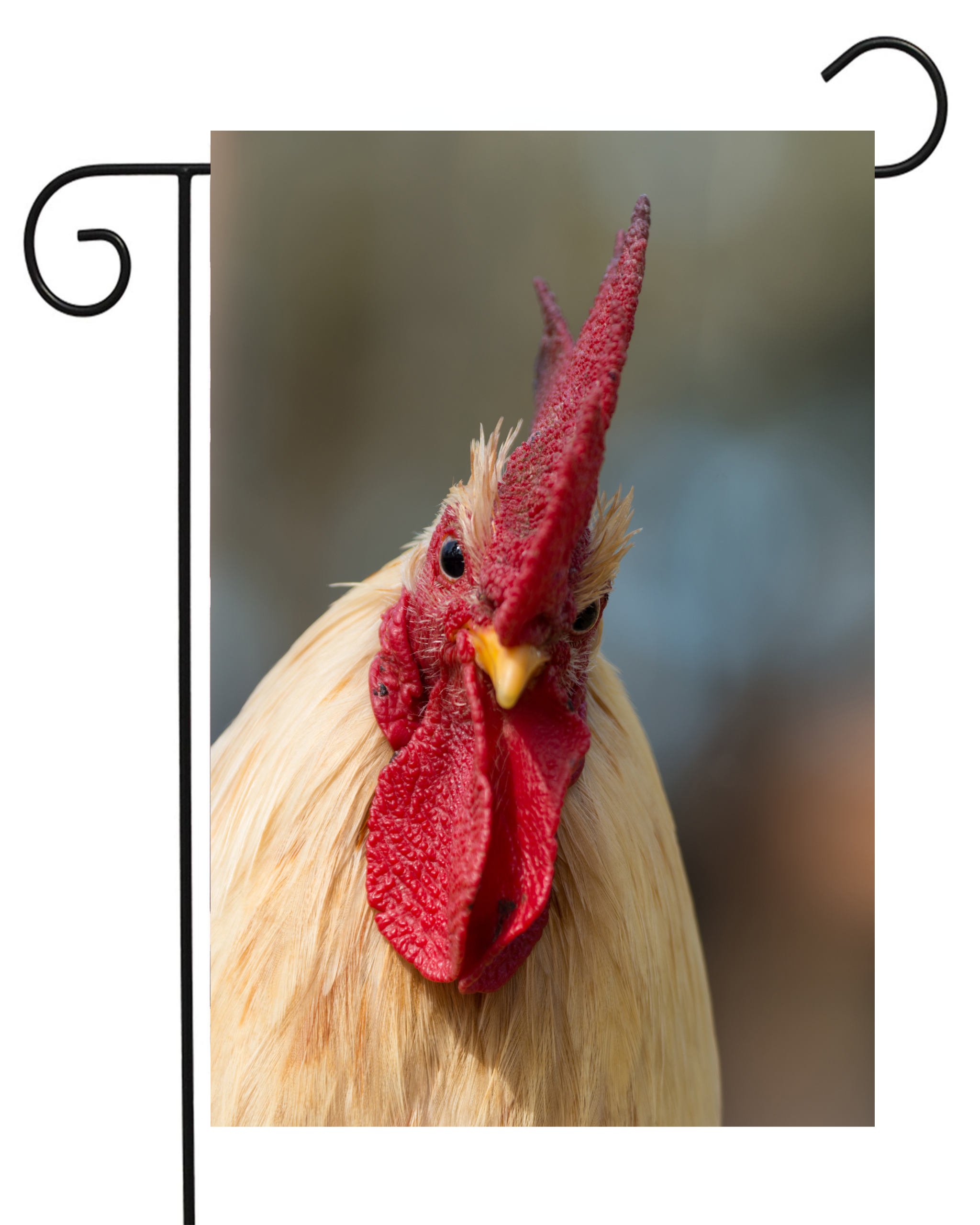 Rooster Portrait Garden Flag #G2001